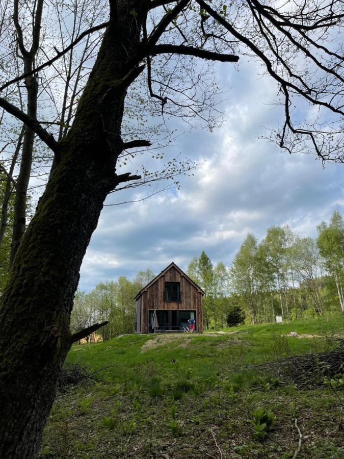 Mlynowiec 4Rest Stronie Śląskie 外观 照片